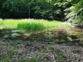 20260524_145533-scaled