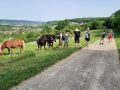 20260524_170556-scaled