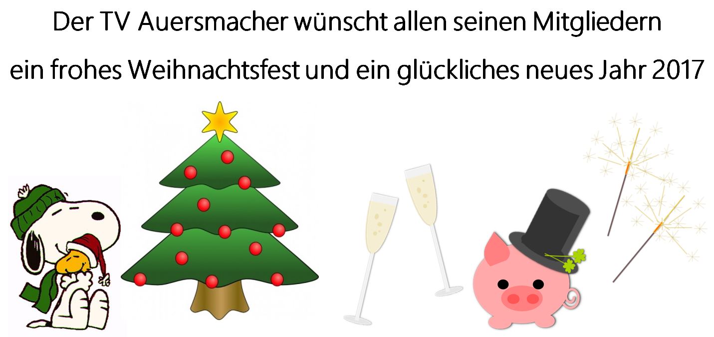 Weihnachten_Silvester_2016